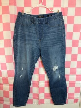 Judy Blue Medium Blue Skinny Jeans with Light Distressing